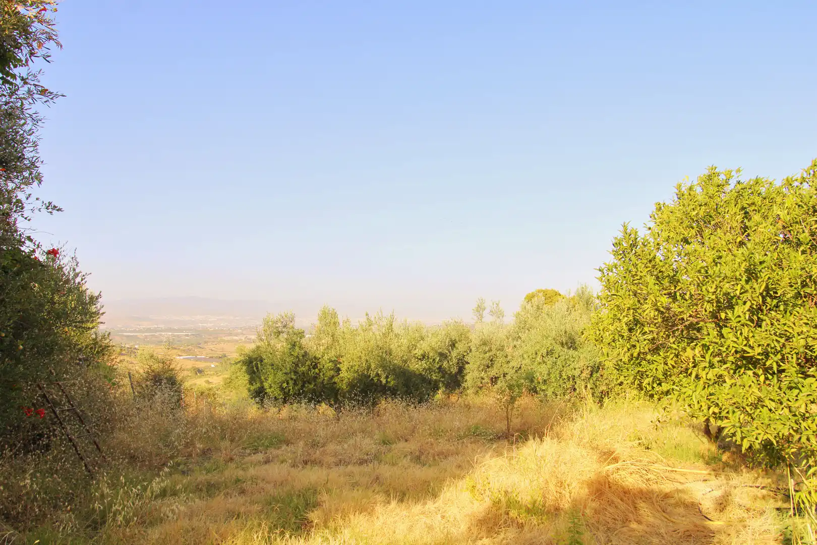 Terreno rustico in vendita a Camino las Barrancas, imagen 4