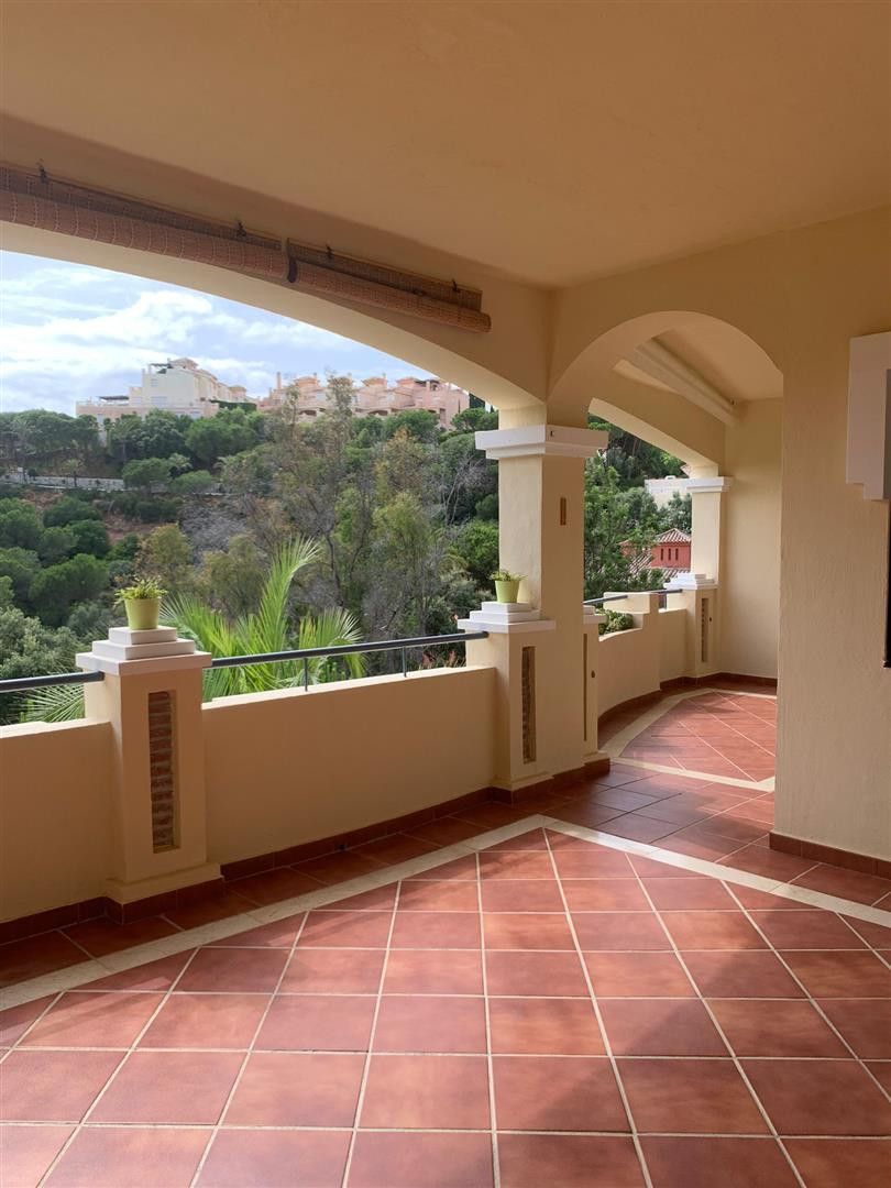 Apartment to rent in Elviria