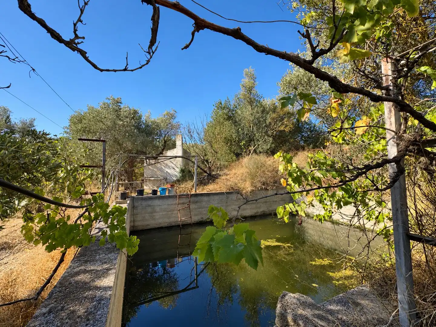 Terrain rustique à vendre à Riba-roja d'Ebre, imagen 5