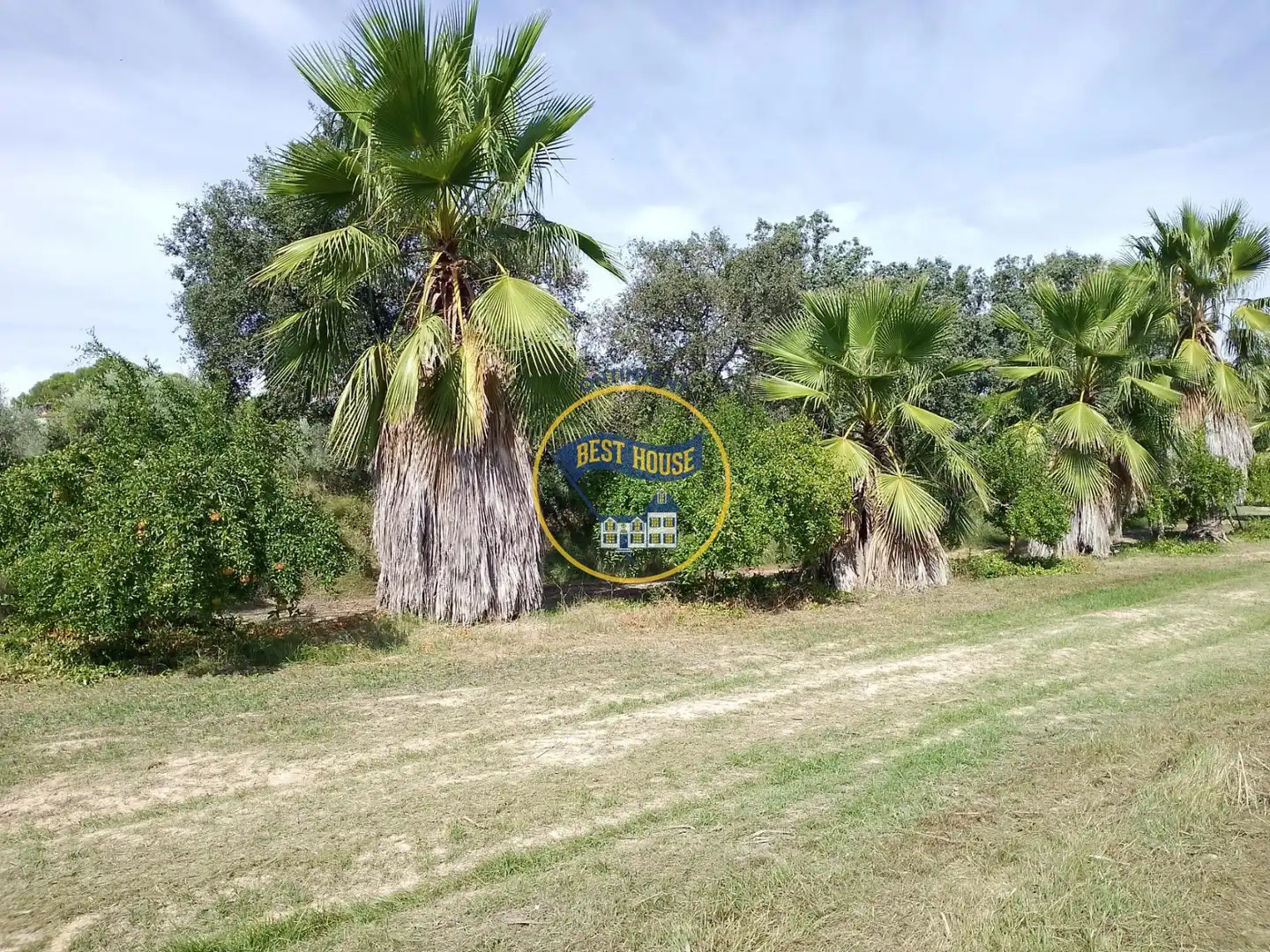 Terrenys i solars en venda a Agullent, imagen 23