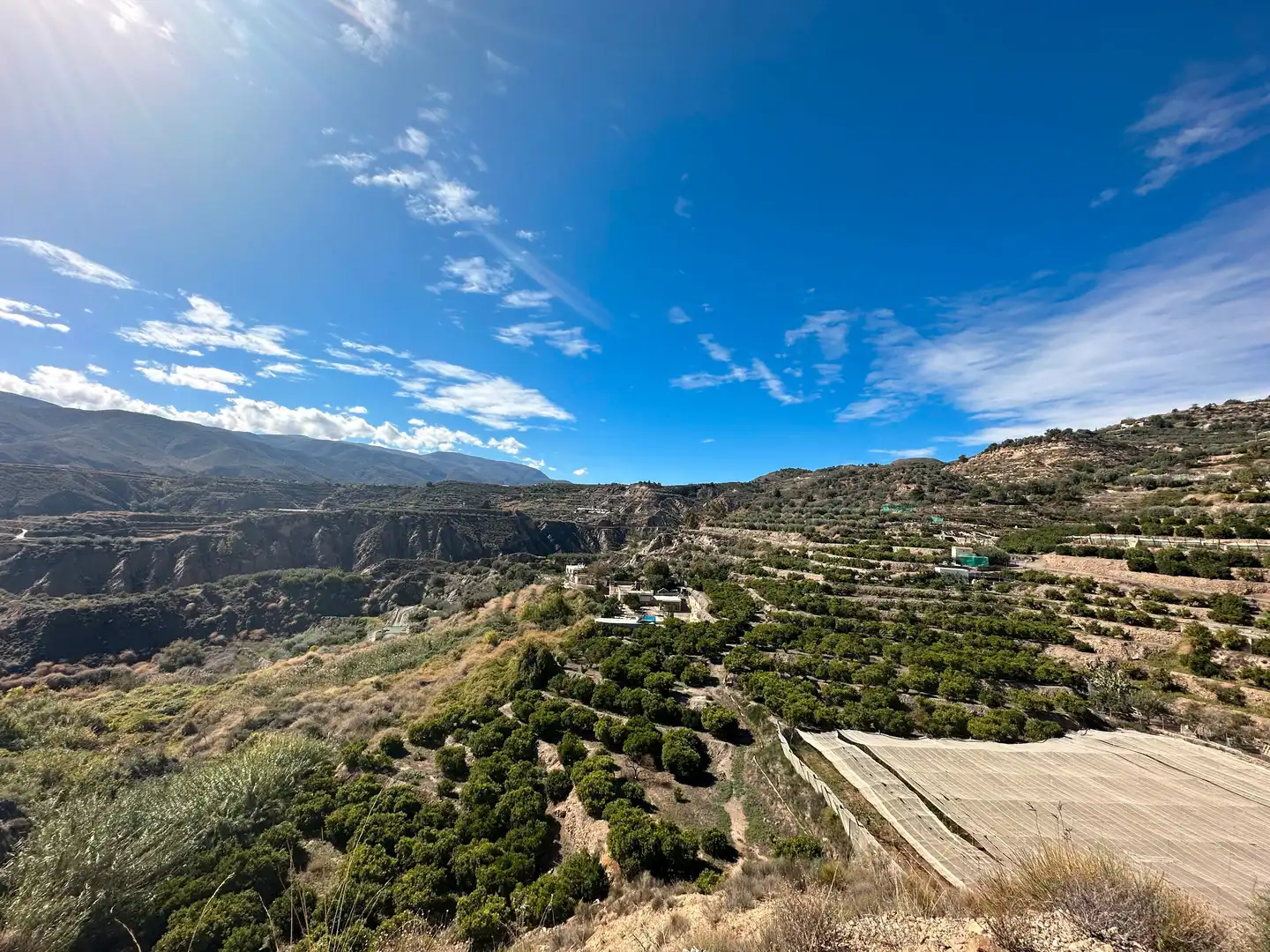 Vista exterior de Finca rústica en venda en Canjáyar amb Jardí privat, Terrassa i Traster