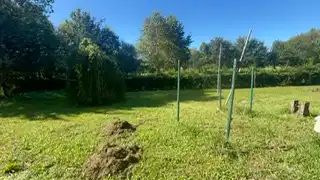 Grundstücke zum Verkauf in Mungia