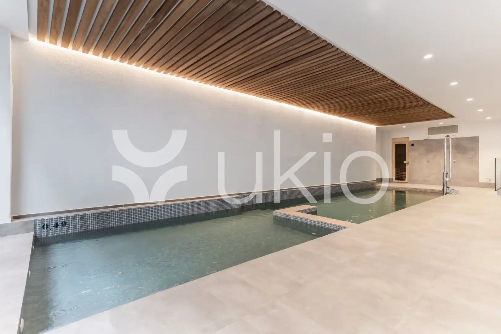 Apartament amb piscina de lloguer a Paseo de Francisco Giner, imagen 23