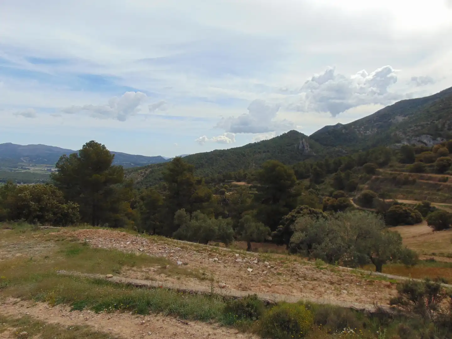 Casa rustica con piscina in vendita a Partida Polop Baix, imagen 55