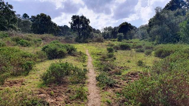 Terreno en Venta en Castaño del Robledo