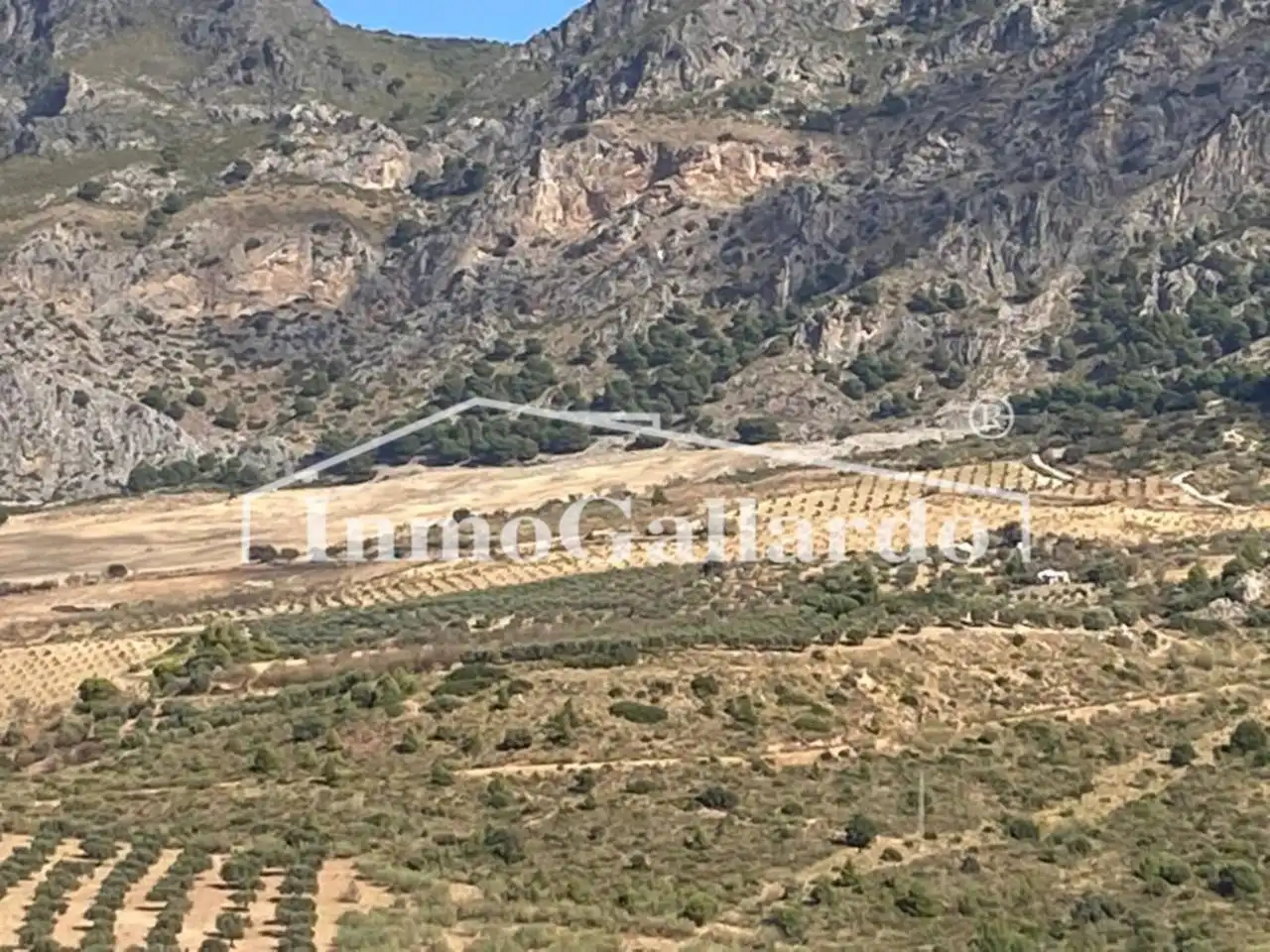 Terreni e lotti in vendita a Casarabonela, imagen 4