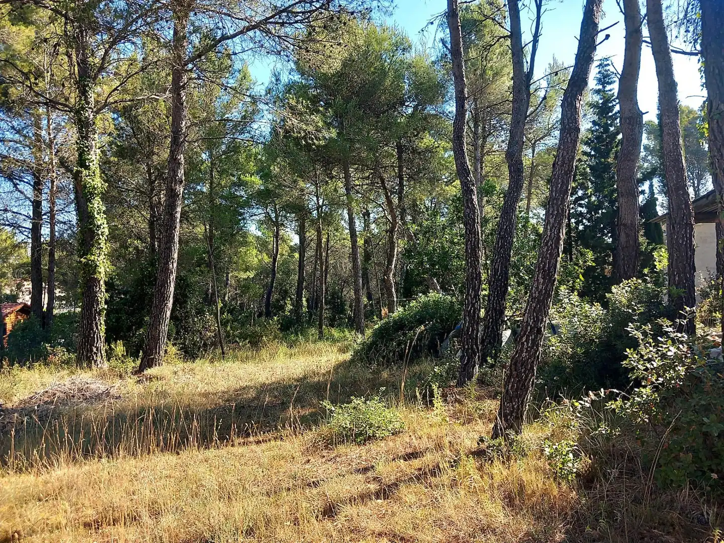 House with garden for sale in Torrelles de Foix, imagen 36