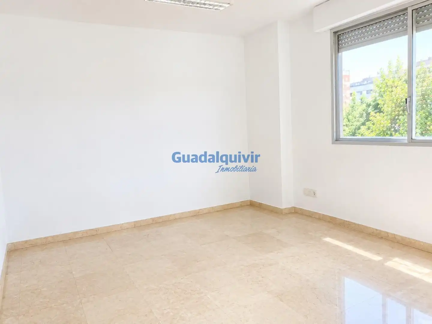 Jardín de Oficina de alquiler en Sur