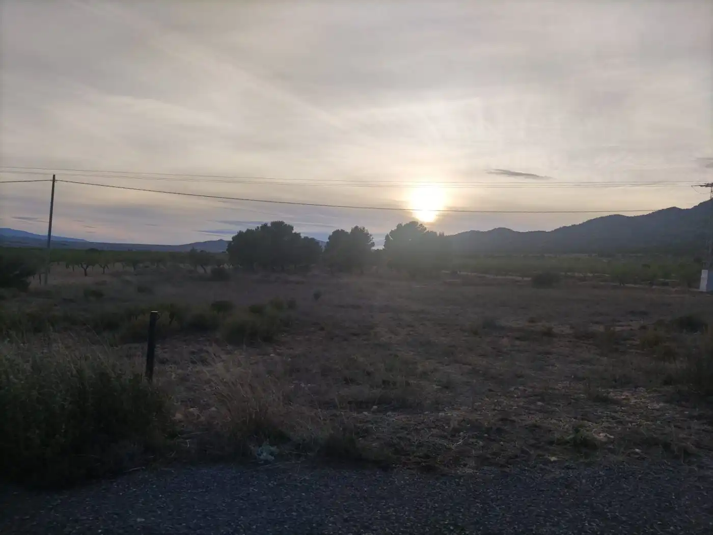 Terreno rústico en venta en El Pinós / Pinoso, imagen 5