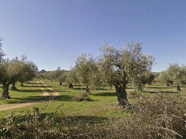 Terreno rustico in vendita a Plaza de la Cerca de la Memoria 17