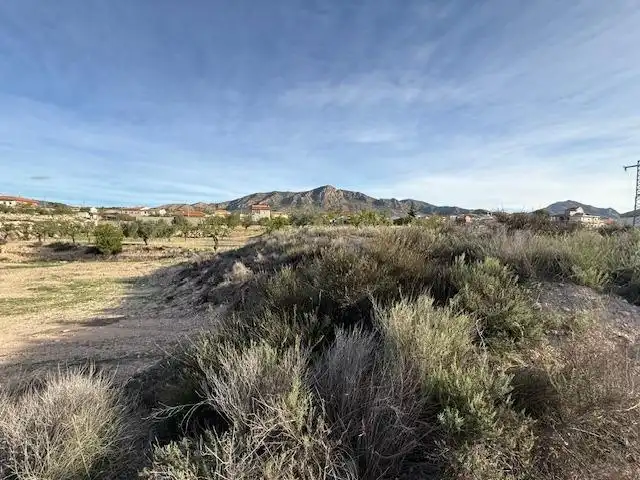 Lands and plots for sale in Abanilla, imagen 7