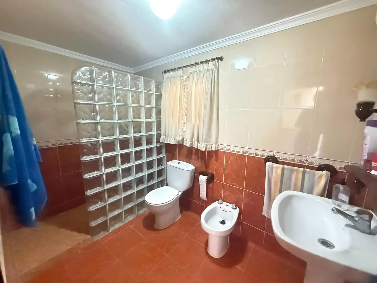 Baño de Casa o chalet en venta en Alameda con Terraza, Trastero y Amueblado
