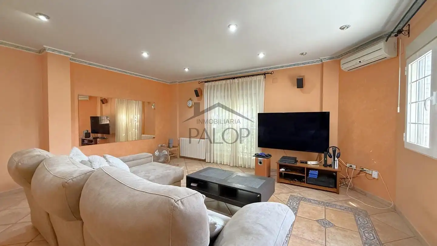 Sala d'estar de Casa o xalet en venda en Senyera amb Jardí privat