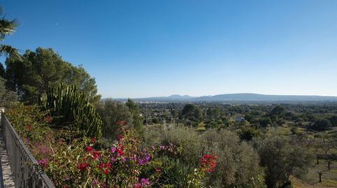 Foto 4 de Casa o xalet en venda a Santa María del Camí - Cami Des Ruiger, Santa María del Camí, Illes Balears