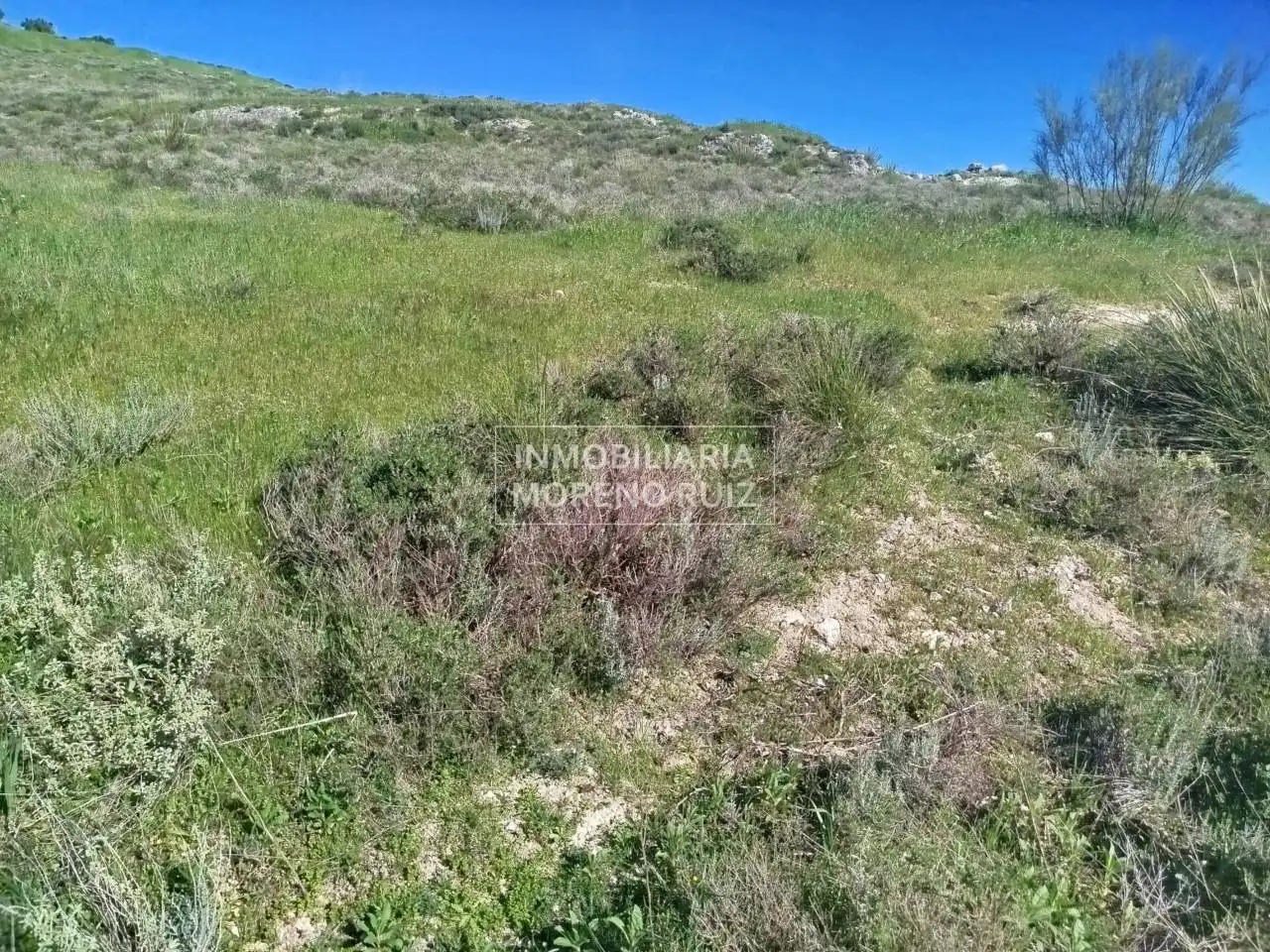 Terreny residencial en venda a Luque, imagen 2