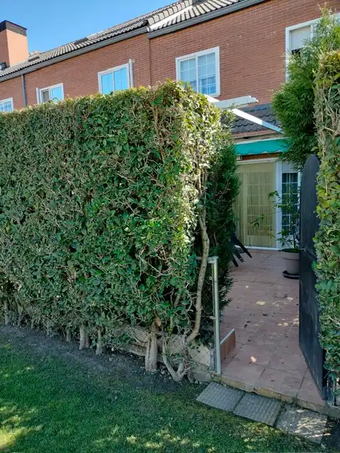 Jardí de Casa o xalet en venda en Valdemoro amb Aire condicionat, Calefacció i Jardí privat