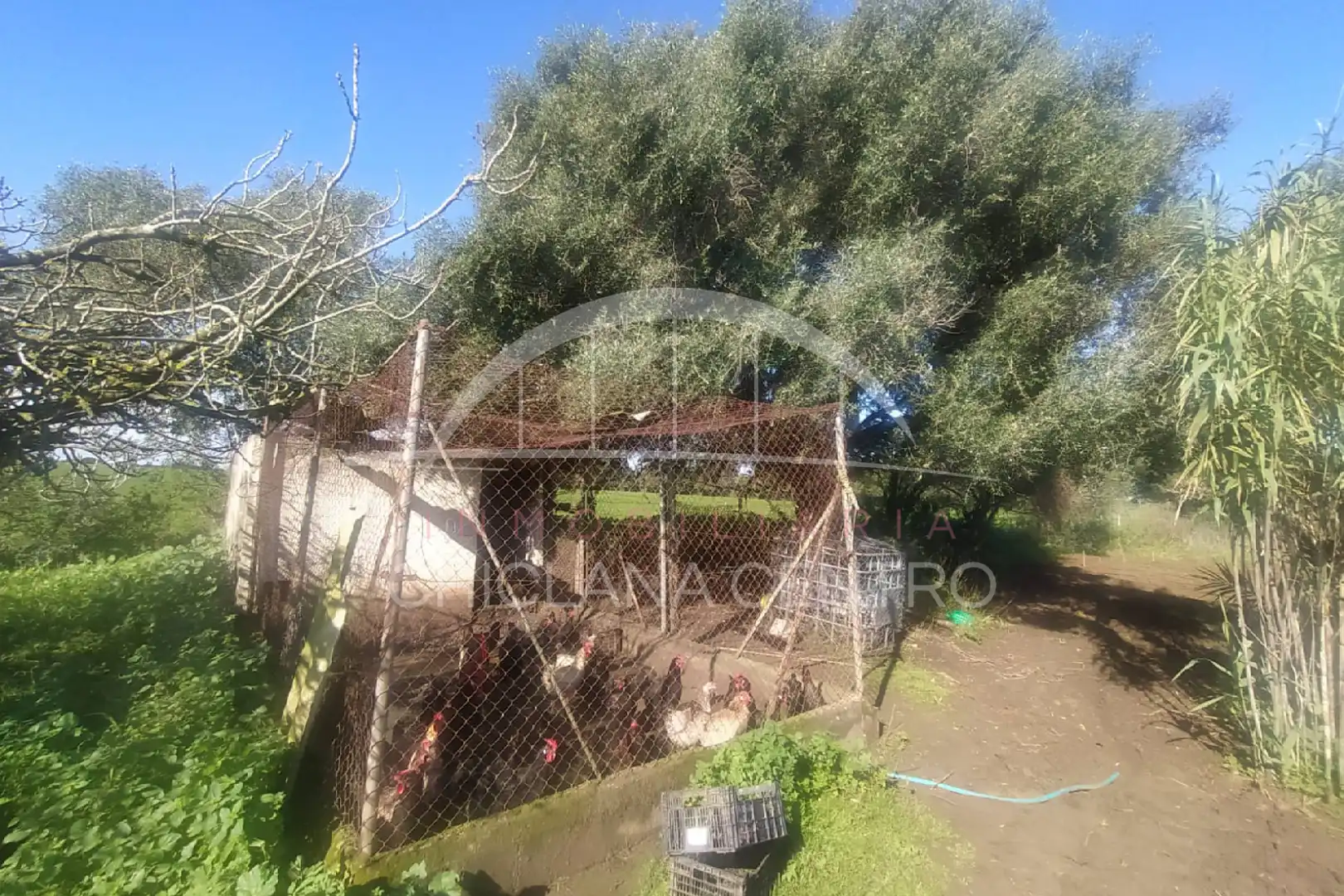 Casa rústica amb jardí en venda a Pelagatos - Pago del Humo, imagen 14
