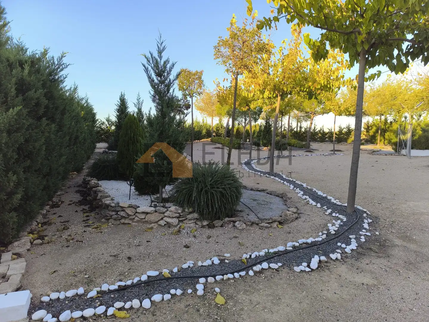 Finca rústica en venta en La Roda con Jardín privado