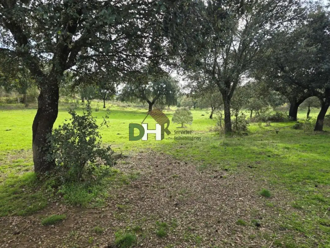 Terreni e lotti in vendita a Ruta de la Plata, imagen 4