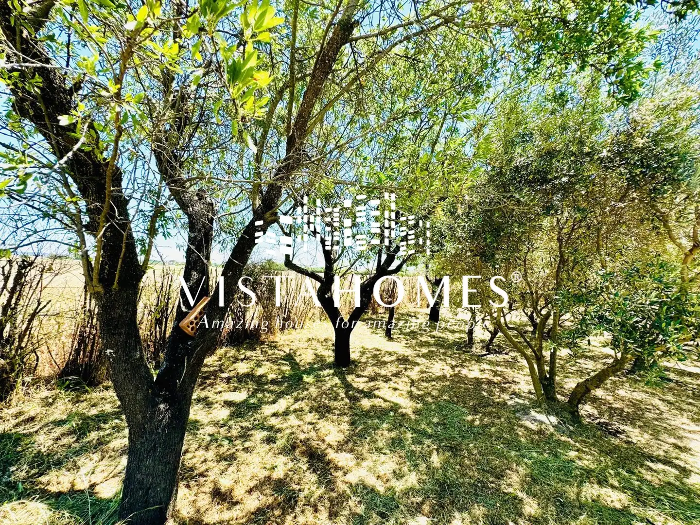 Casa rústica amb jardí en venda a Calle Madrid, imagen 79