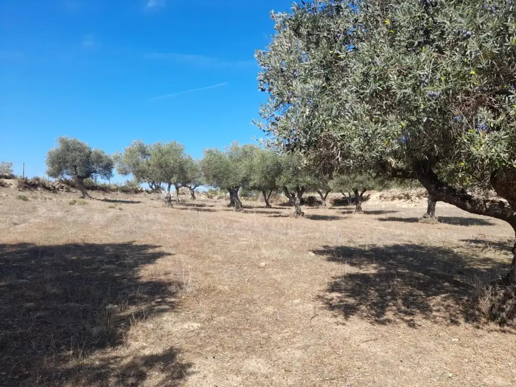 Casa o xalet en venda en San Vicente de Alcántara