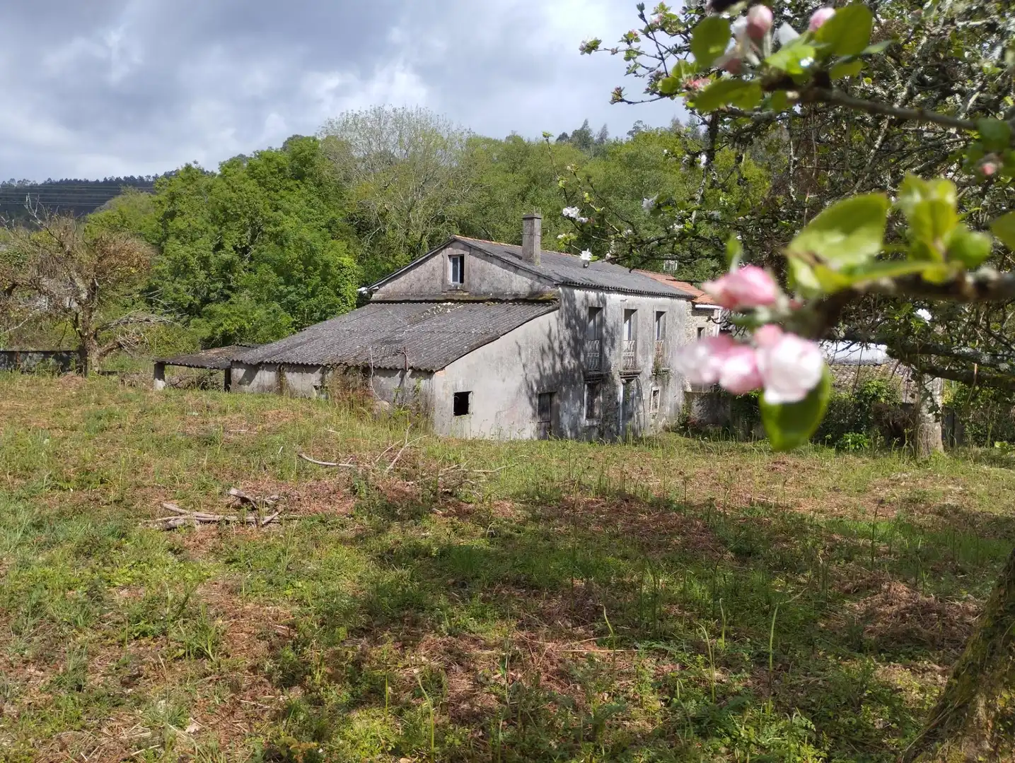 Exterior view of Detached homes for sale in Cabanas  with Private garden