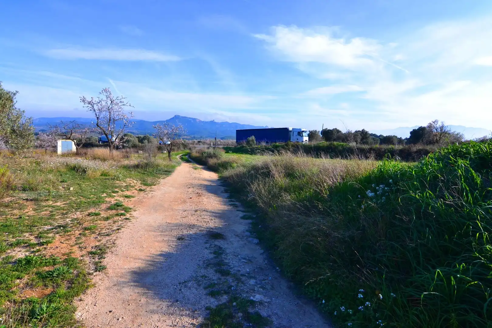 Rural land for sale in Gandesa, imagen 10