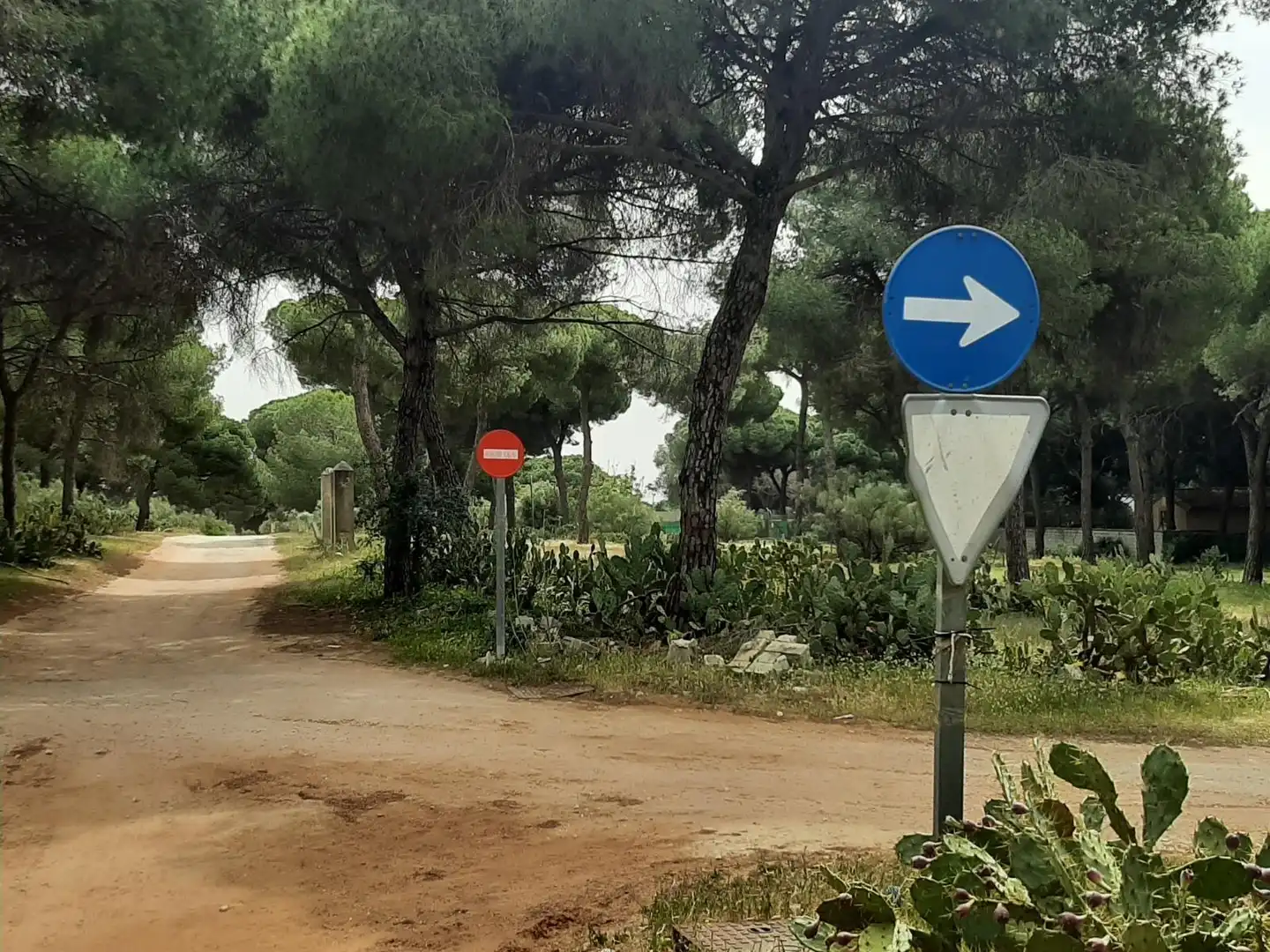 Rustikales Grundstück zum Verkauf in El Juncal - Vallealto, imagen 3