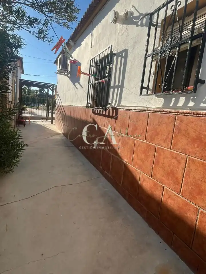 Vista exterior de Casa o chalet en venta en Puente Genil con Aire acondicionado, Jardín privado y Terraza