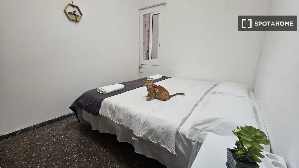 Habitación en Centre