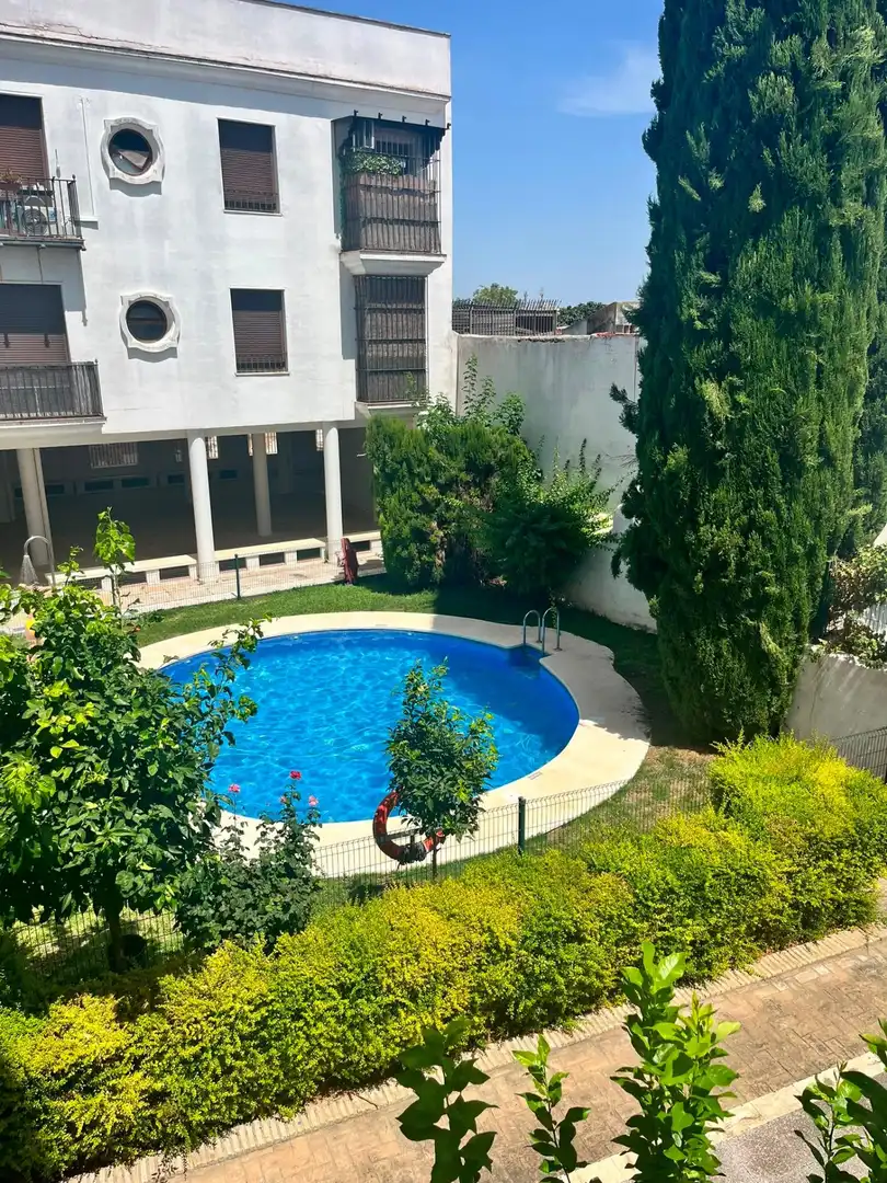 Piscina de Piso de alquiler en Jerez de la Frontera con Aire acondicionado, Trastero y Amueblado
