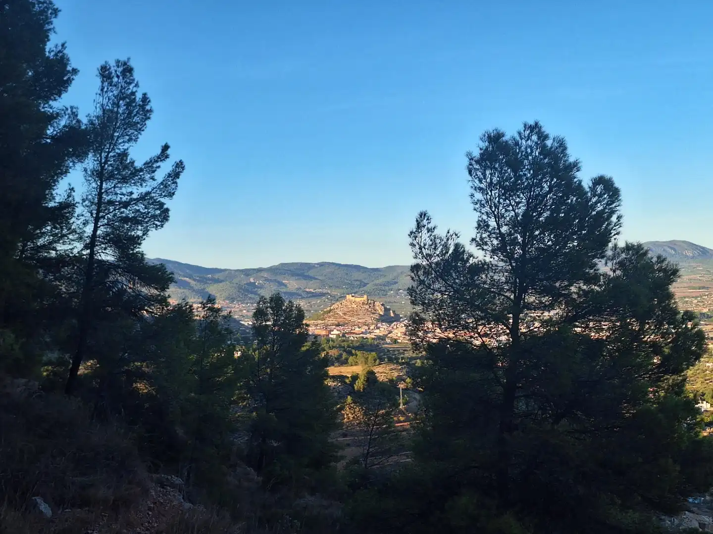 Rural land for sale in Castalla