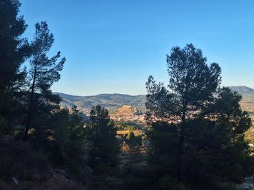 Rural land for sale in Castalla