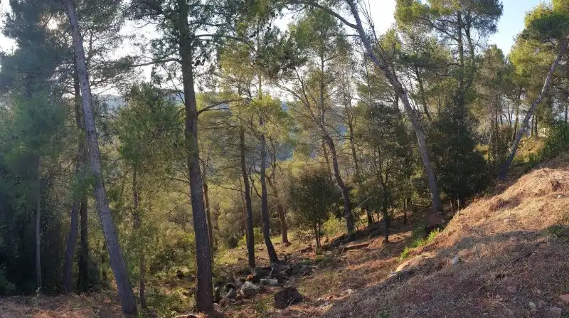 Wohnbaugrundstück zum Verkauf in Cervelló, imagen 3