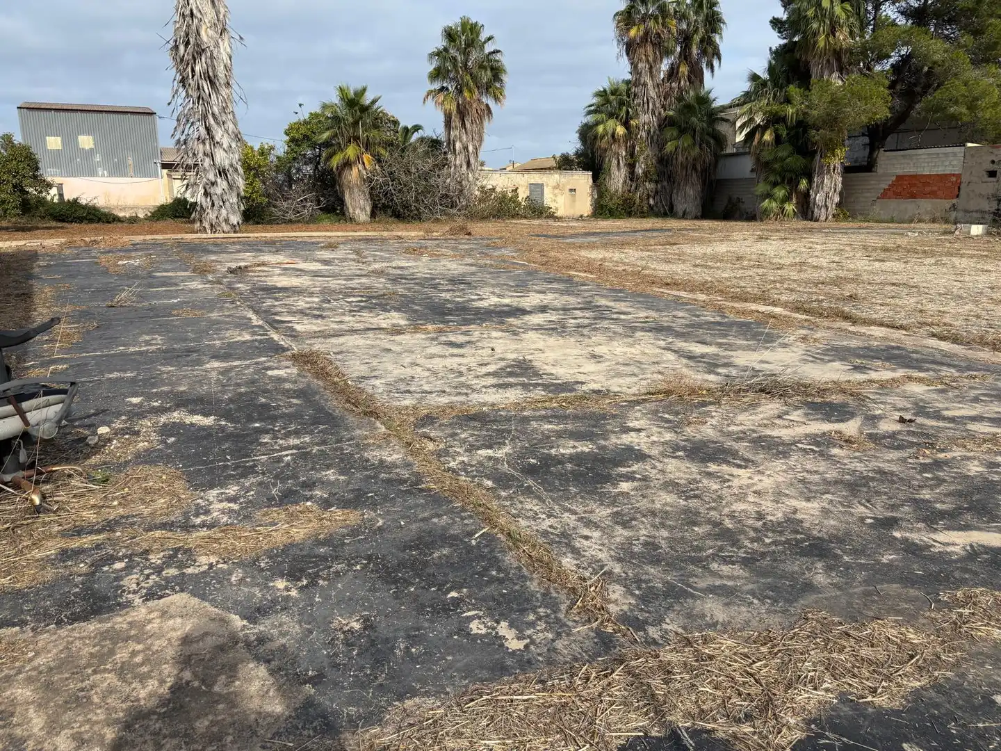 Rural land for sale in Sueca ciudad, imagen 6