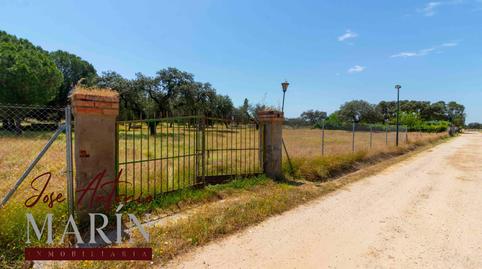 Photo 2 of Land for sale in Pedanías de Badajoz, Badajoz Capital
