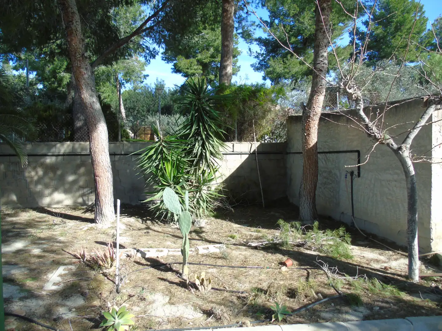Jardín de Finca rústica en venta en Molina de Segura con Aire acondicionado, Jardín privado y Amueblado