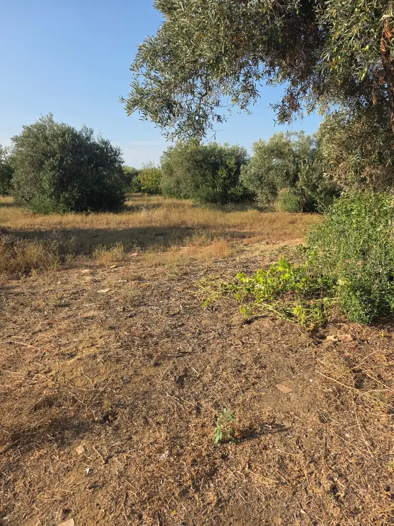 Terreni e lotti in vendita a Pedanías Norte, imagen 57