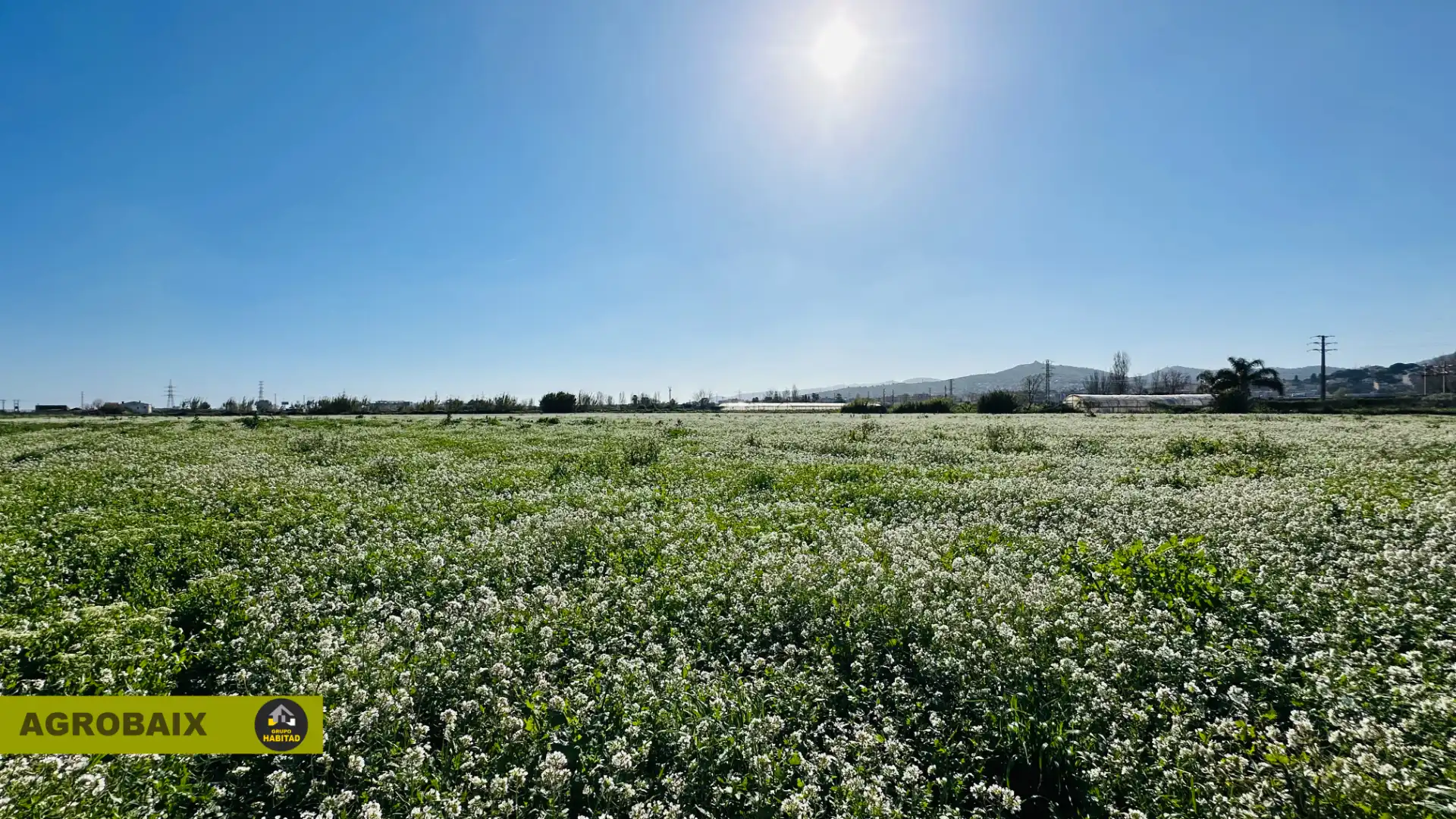 Rural land for sale in Vinyets - Molí Vell, imagen 6