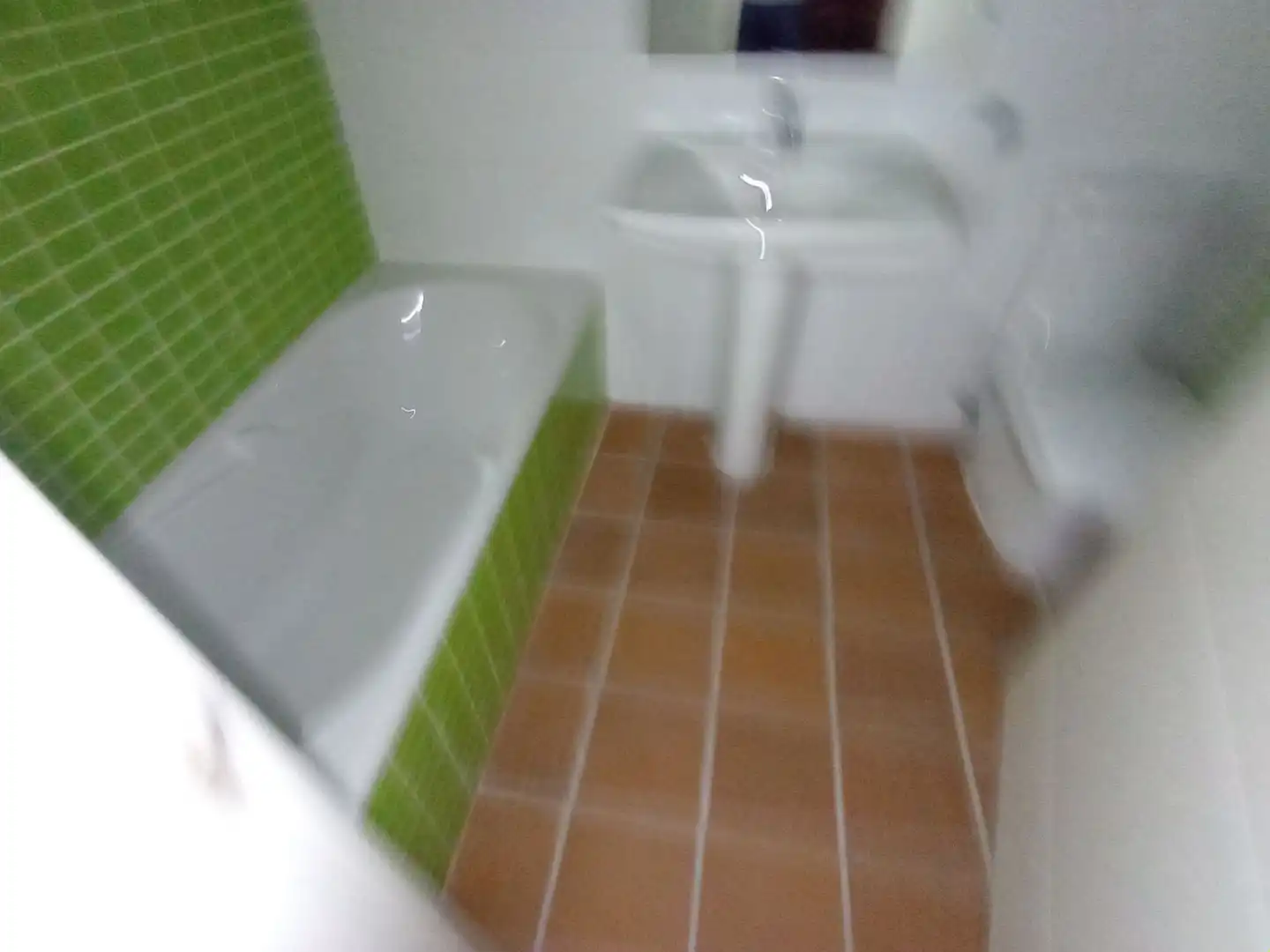 Maison avec jardin à vendre à Manuel herrera, imagen 19