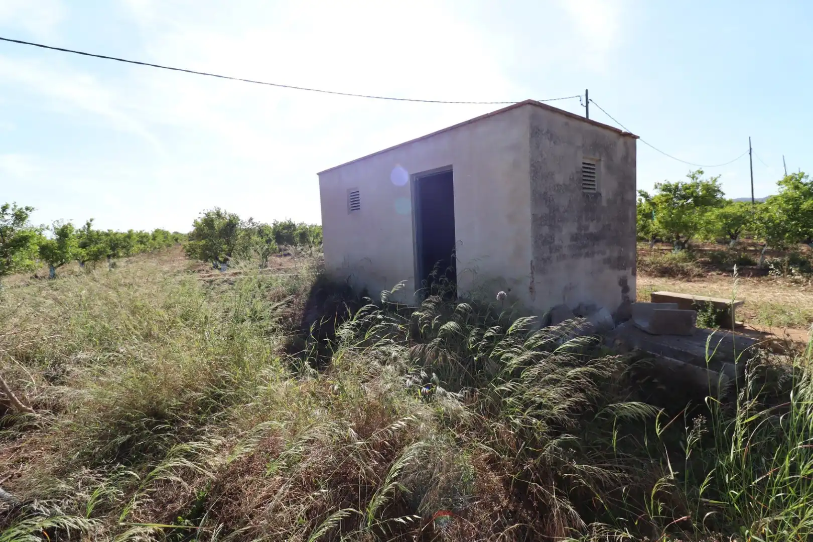 Terreno rústico en venta en Alcanar, imagen 2