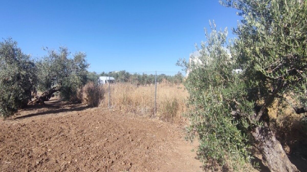 Residential zum verkauf in Torreperogil