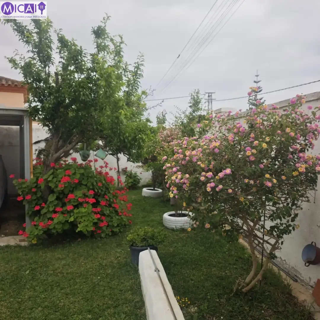 Jardín de Casa o chalet en venta en Chiclana de la Frontera con Jardín privado, Trastero y Piscina