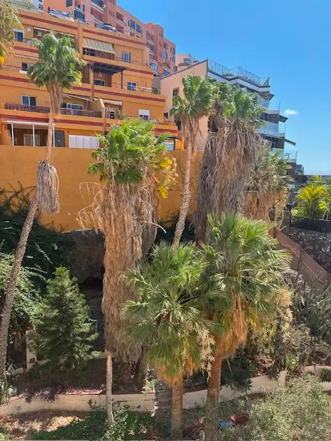 Exterior view of Apartments for sale in El Rosario  with Terrace