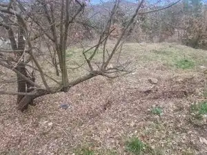 Residential land for sale in Carrer de Collsuspina 465, imagen 12