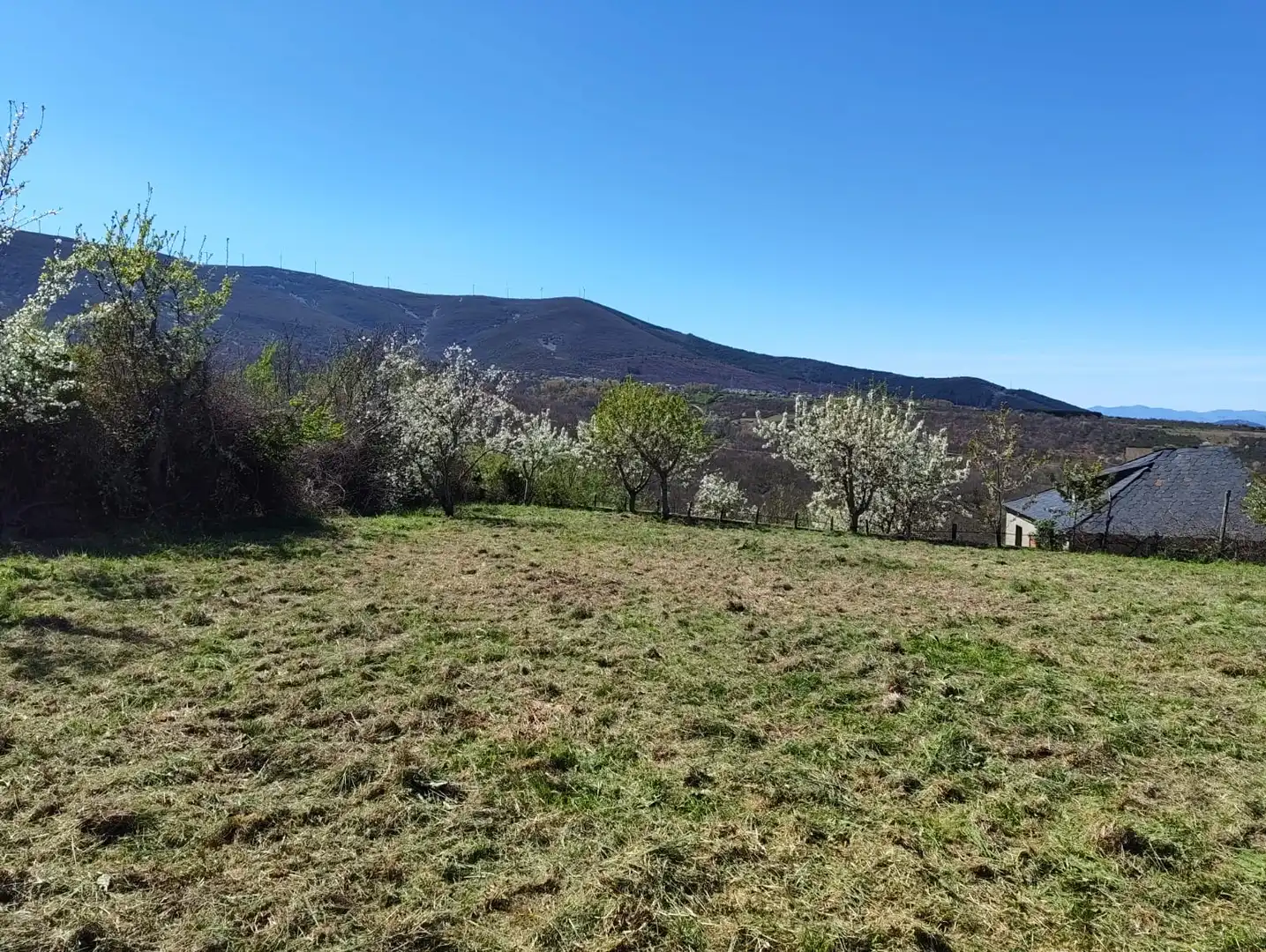 Land for sale in Castropodame
