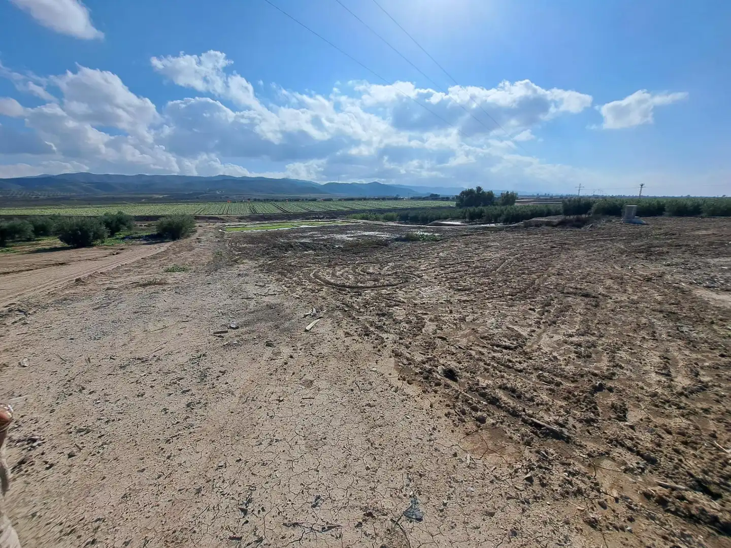 Casa o chalet en venta en Marchena