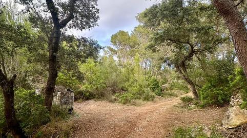 Photo 5 of Land for sale in Camino Polígono 15 Parcela 203 Sa Trongera. Andrat, 15, Port d'Andratx, Illes Balears