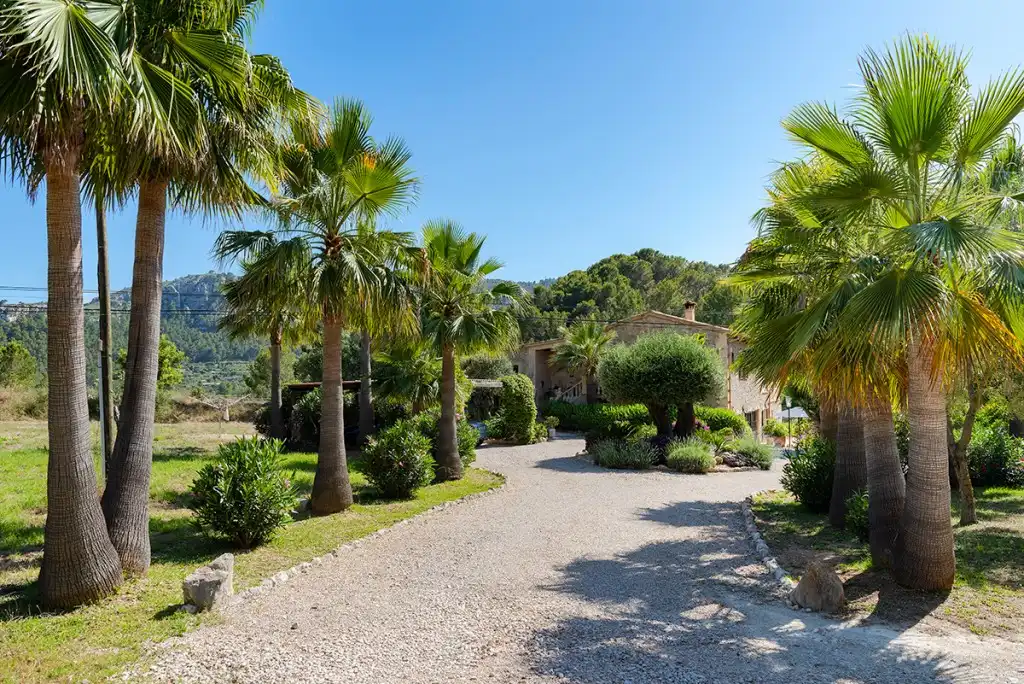 Casa rústica con piscina en venta en Andratx pueblo, imagen 38