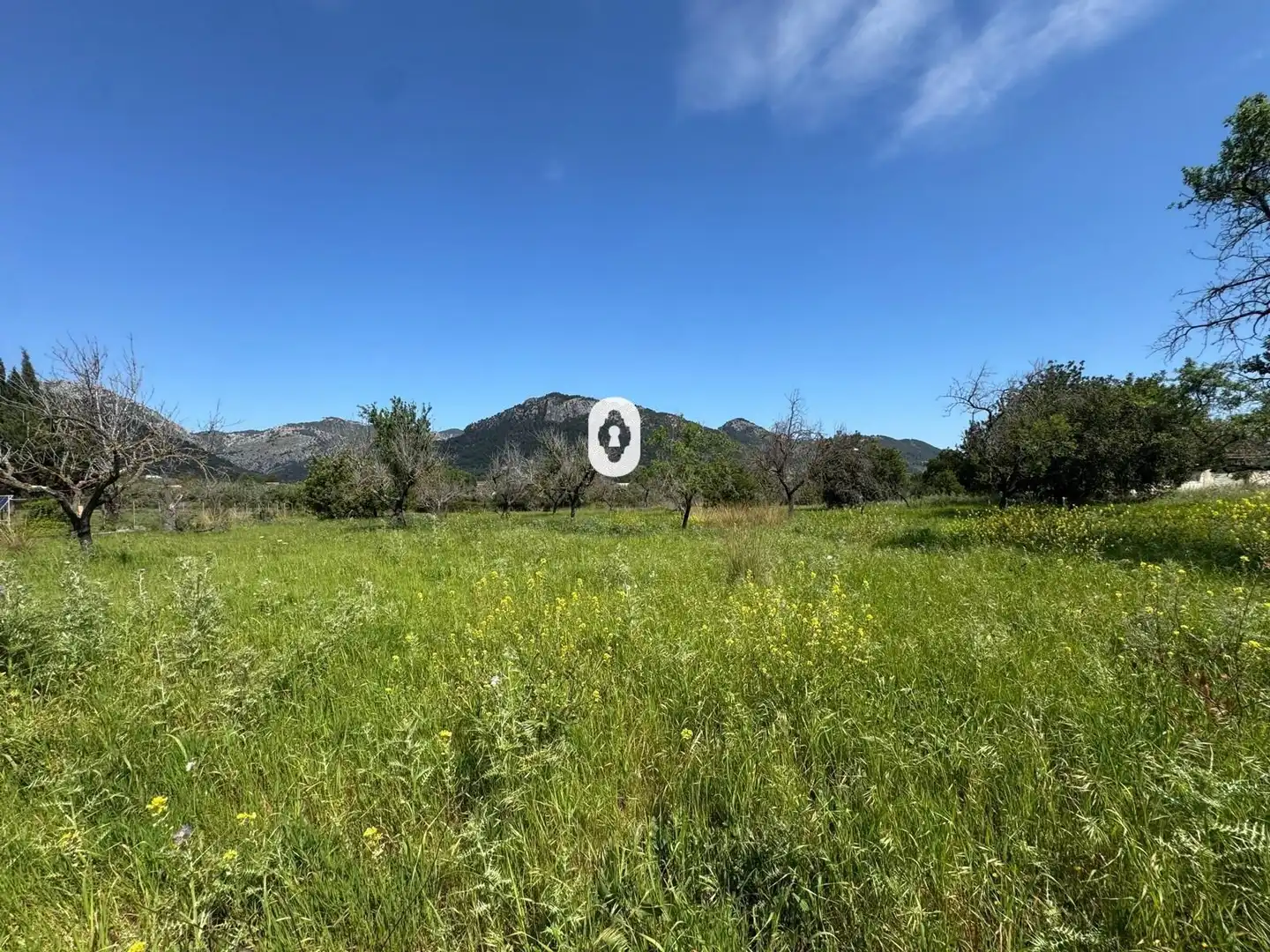 Residential for sale in Polígono 15 Parcela 49 SON MORRO. SELVA (ILLES BA, Selva